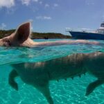 Los 8 Mejores Destinos para viajar en Semana Santa 2023 » 2023