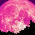 Mercedes Benz AMG EQE Sedan del 2023, un eléctrico clase business » 2023