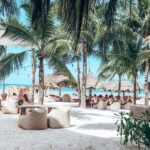 7 formas de celebrar la Navidad en Florida, desde fiestas hasta desfiles en barco »
