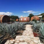 Los Mejores Autos de Honda del 2025 »