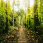 5 Ciudades Donde el Aburrimiento Está Prohibido por Ley (Casi) »