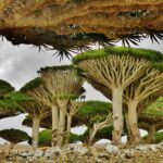 5 Destinos que Cambian de Personalidad Según la Hora del Día »