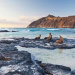 5 Alojamientos Insólitos para Experiencias Fuera de lo Común »