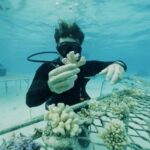 5 Lugares para Encuentros Increíbles con la Vida Salvaje »