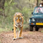 ¿Qué autos son los más eficientes en consumo de combustible en el 2025? »